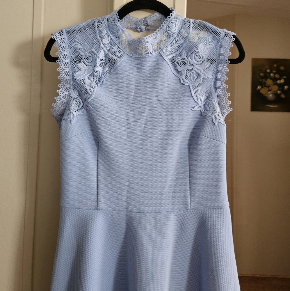 Francesca's Collections Lace Detail Skater Dress - Picture 3 of 4